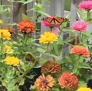 Meet your Posher, Marsh